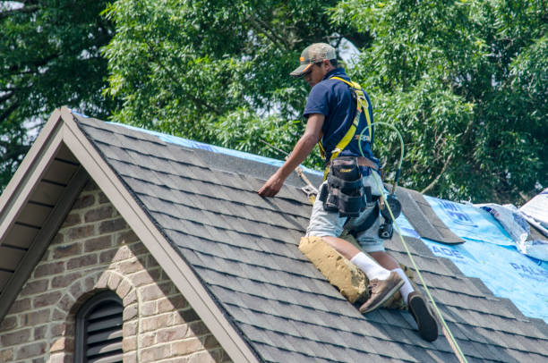 Best Metal Roofing Contractor  in Jasper, IN